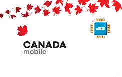 8edead74-e9b7-4c50-ab8d-f11b703b9a93 Canada 1 Go - 7 Jours