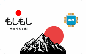 Japon 5 Go - 30 Jours